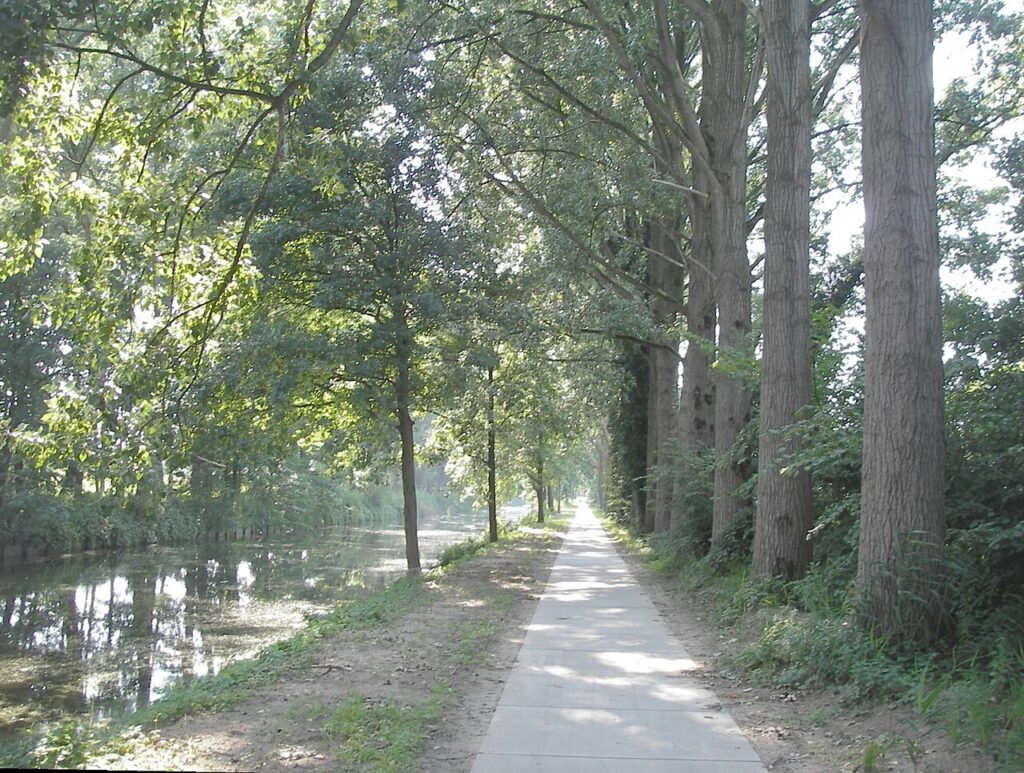 Het Broek en het Eindhovensch Kanaal
