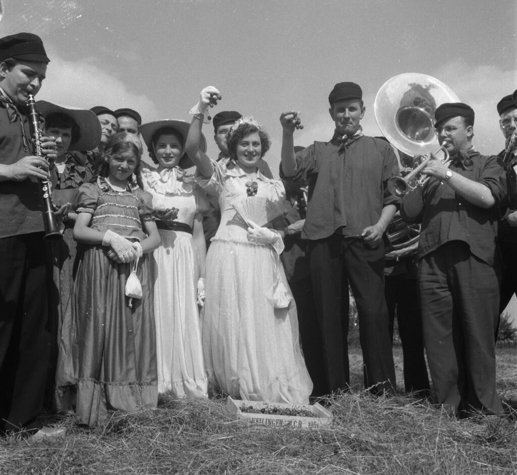 Kersenoogstfeest in Mierlo – 904-6697
