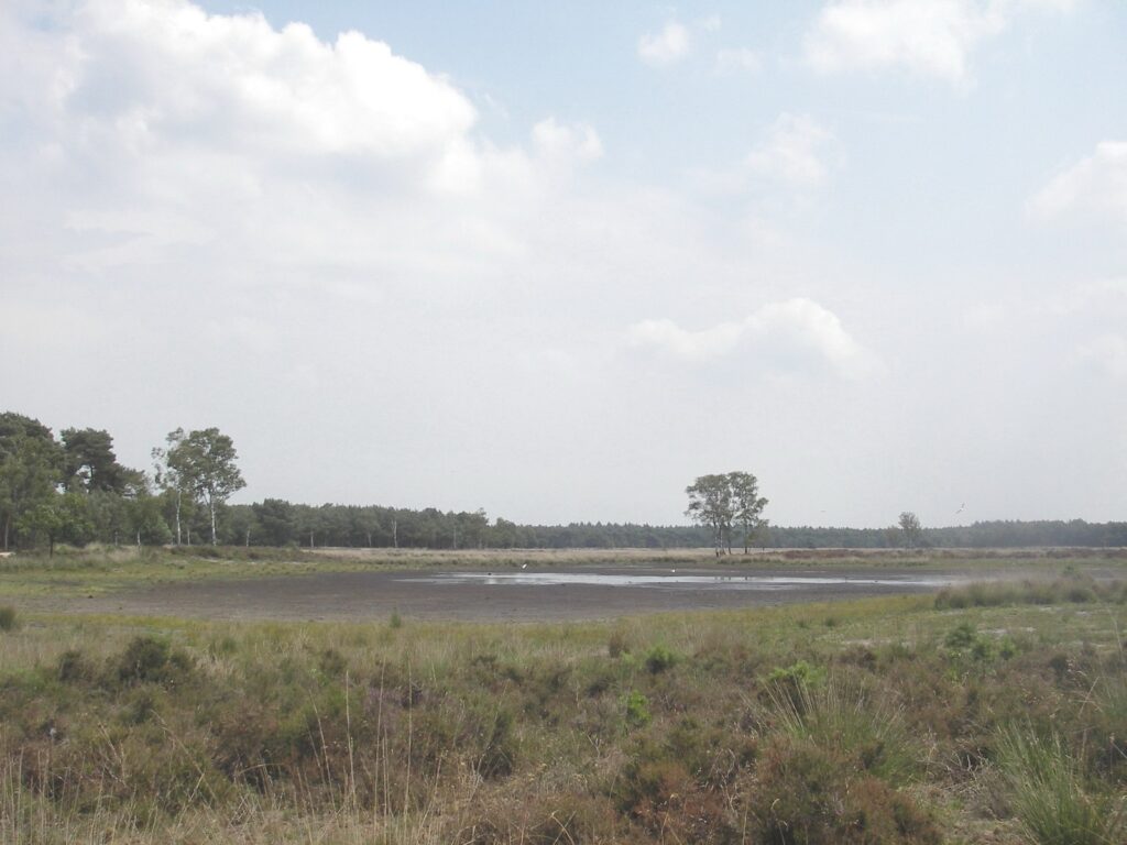 Strabrechtse Heide